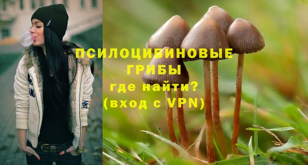 ешки Балабаново